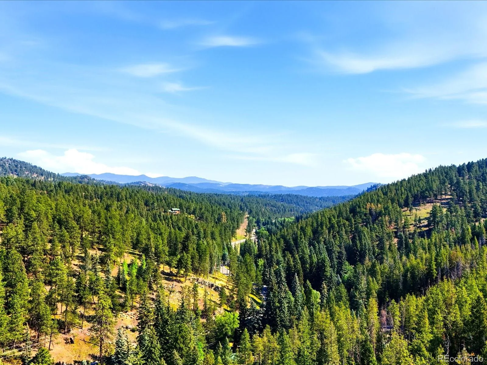 6824 Lynx Lair Road Evergreen CO 80439 | MLS #REC8461977 06242026235441 1600 9