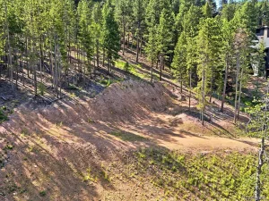 6824 Lynx Lair Road Evergreen CO 80439 | MLS #REC8461977 06242026235441 300 0