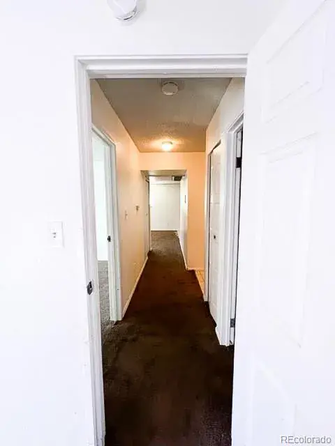 02052026203235 480 11