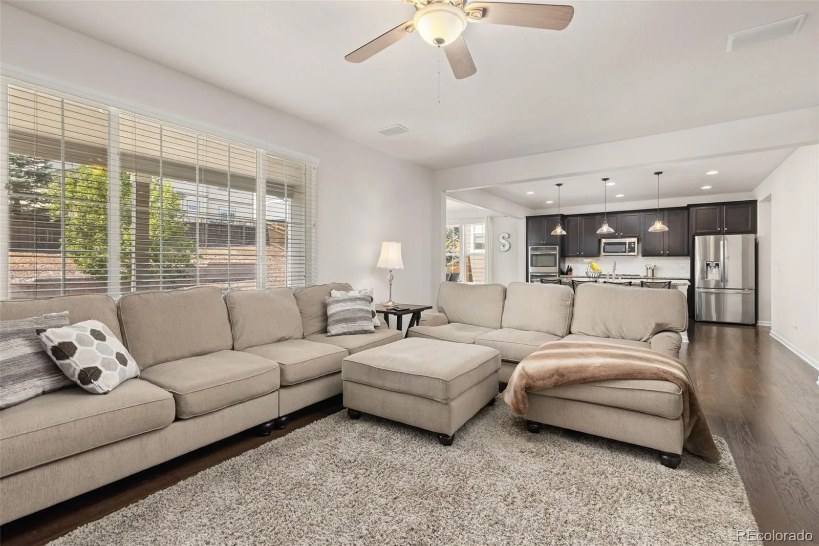 1908 Treetop Drive Castle Rock CO 80109 MLS #REC8465182 07032026194042 1600 10