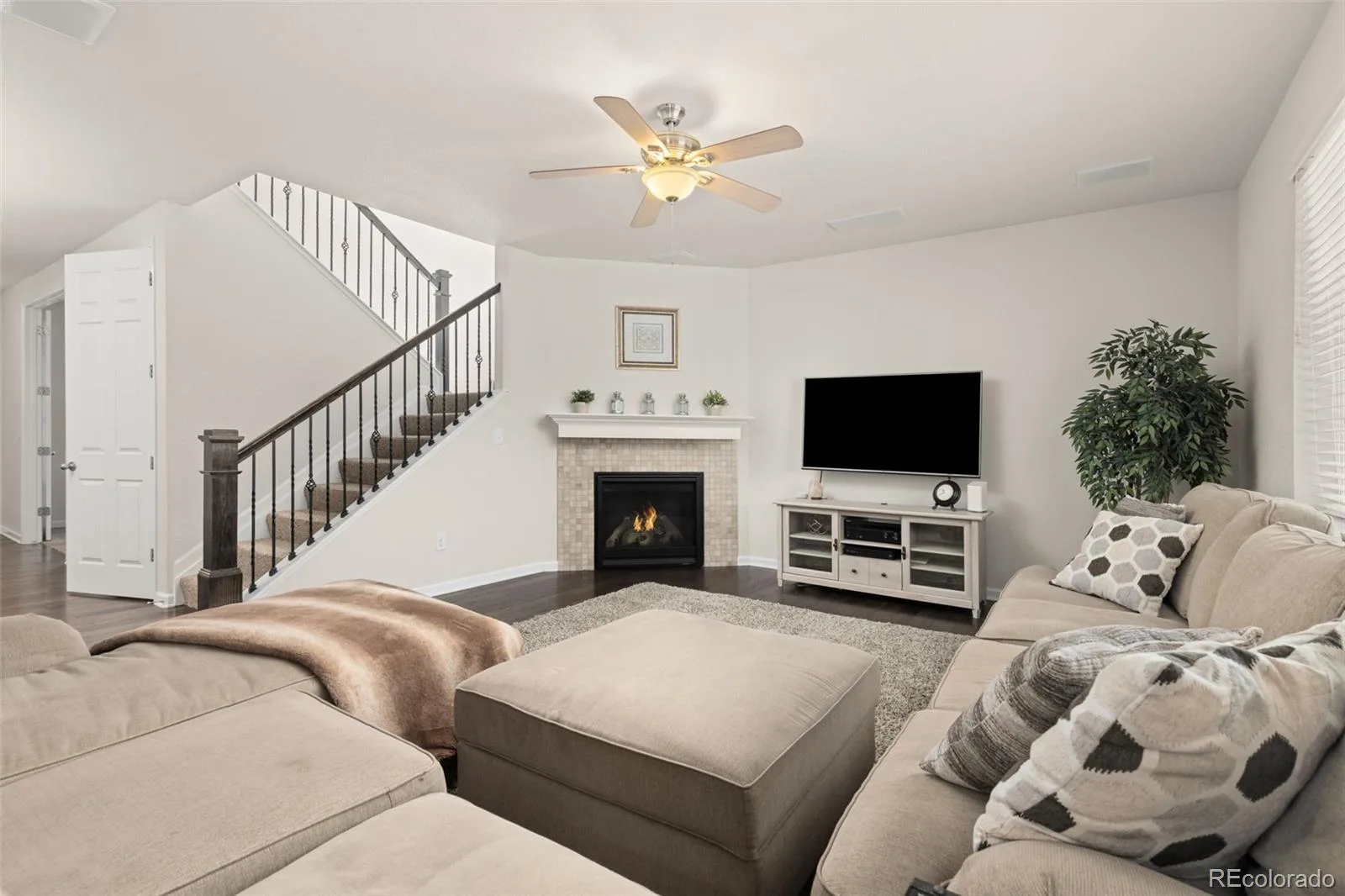 1908 Treetop Drive Castle Rock CO 80109 MLS #REC8465182 07032026194042 1600 9