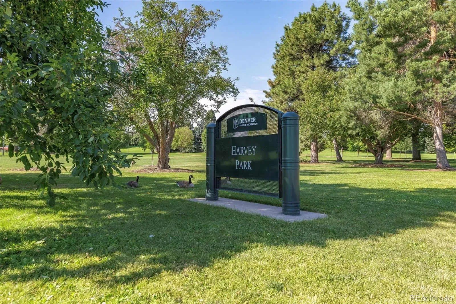 03162026190546 1600 25