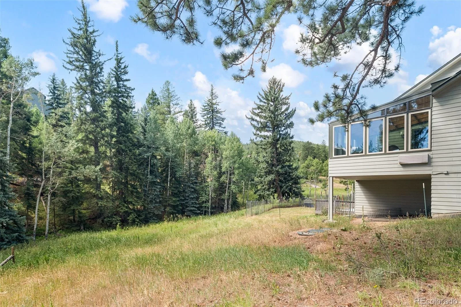 6450 Mohave Trail Evergreen CO 80439 | MLS #REC8479816 07312026231848 1600 40