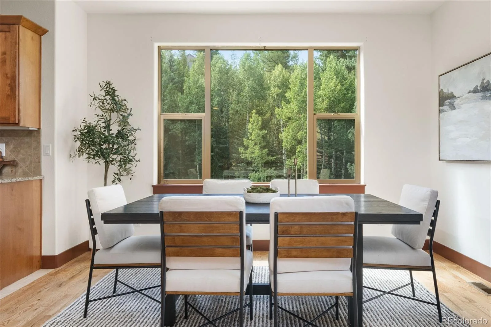 6450 Mohave Trail Evergreen CO 80439 | MLS #REC8479816 07312026231848 1600 6