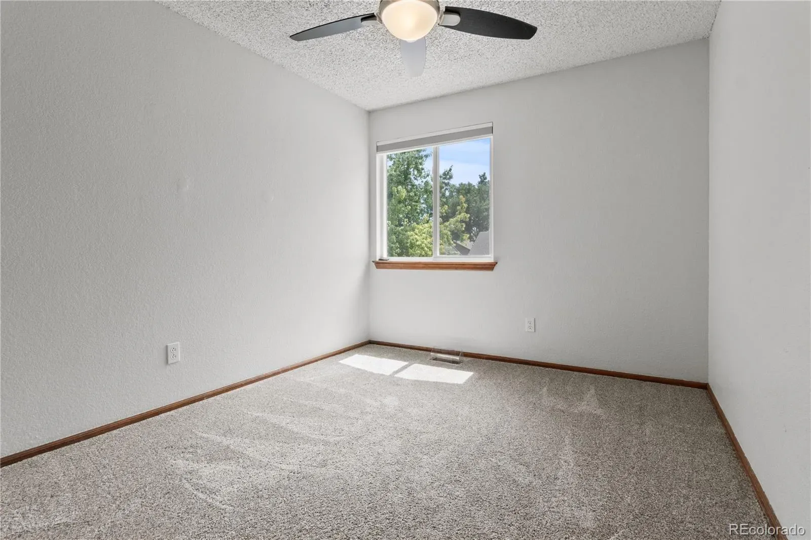 03142026005019 1600 26