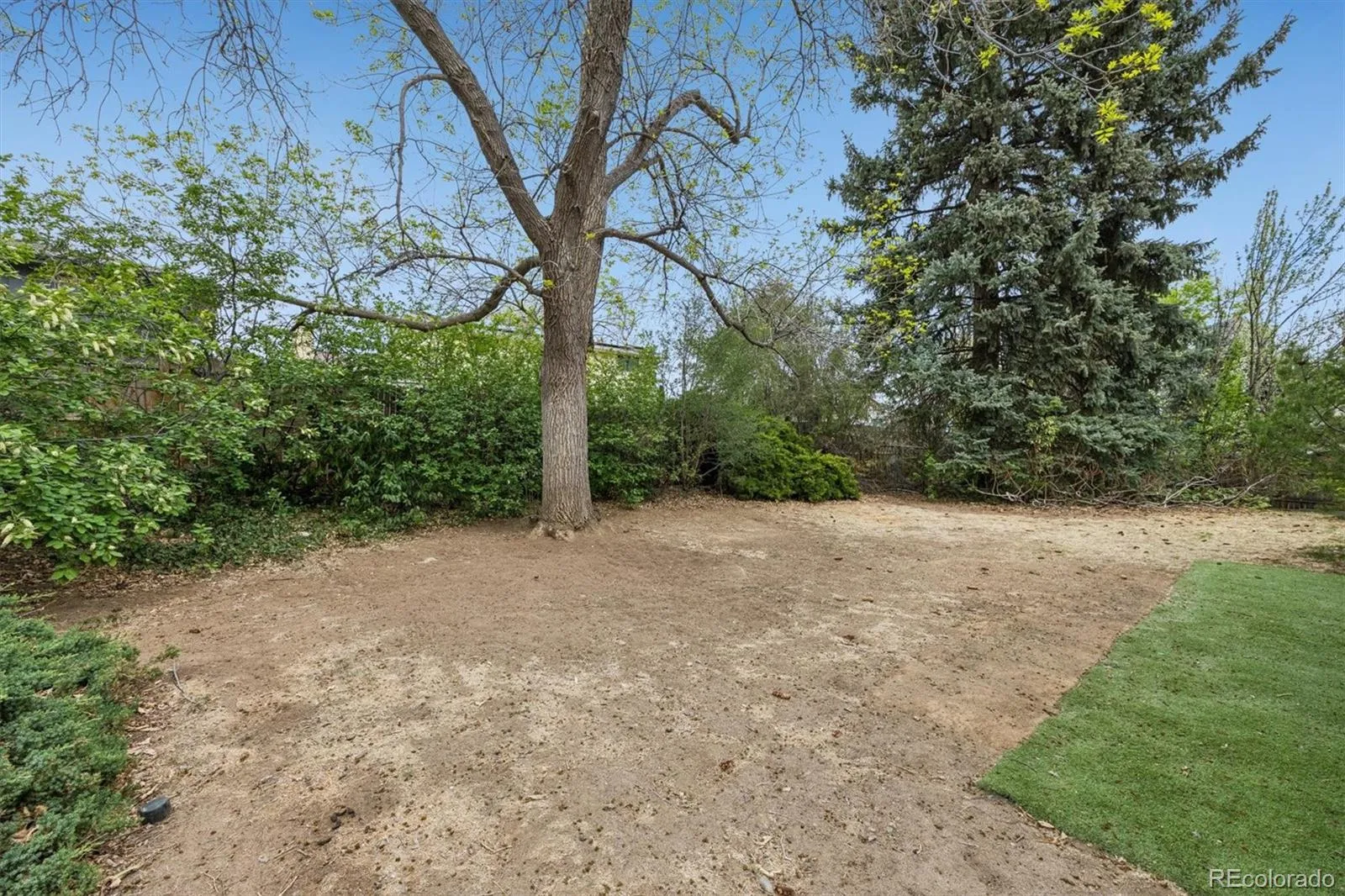 04152026235235 1600 20