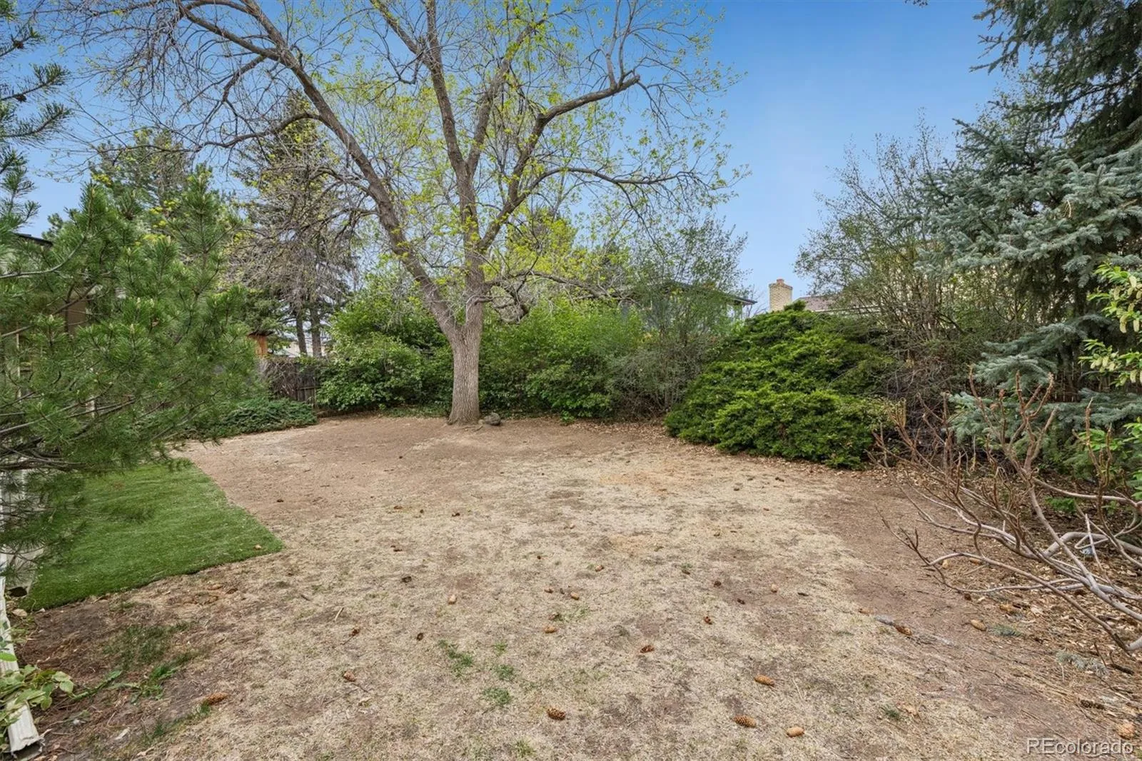 04152026235235 1600 21