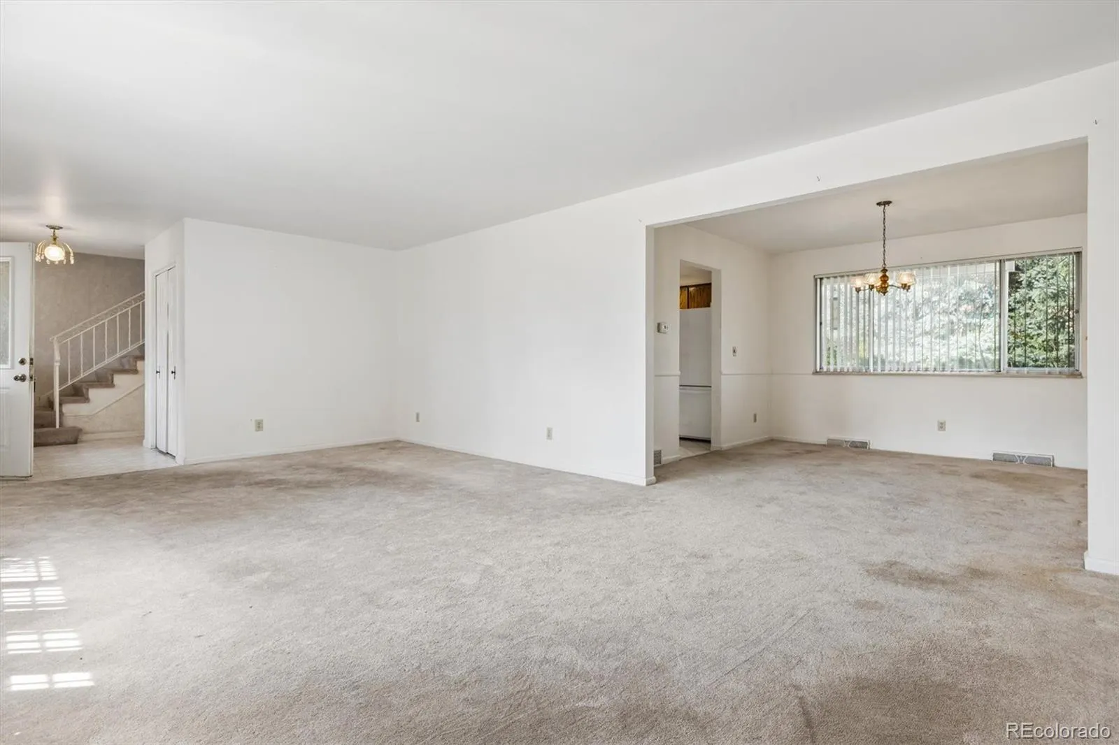 04152026235235 1600 7