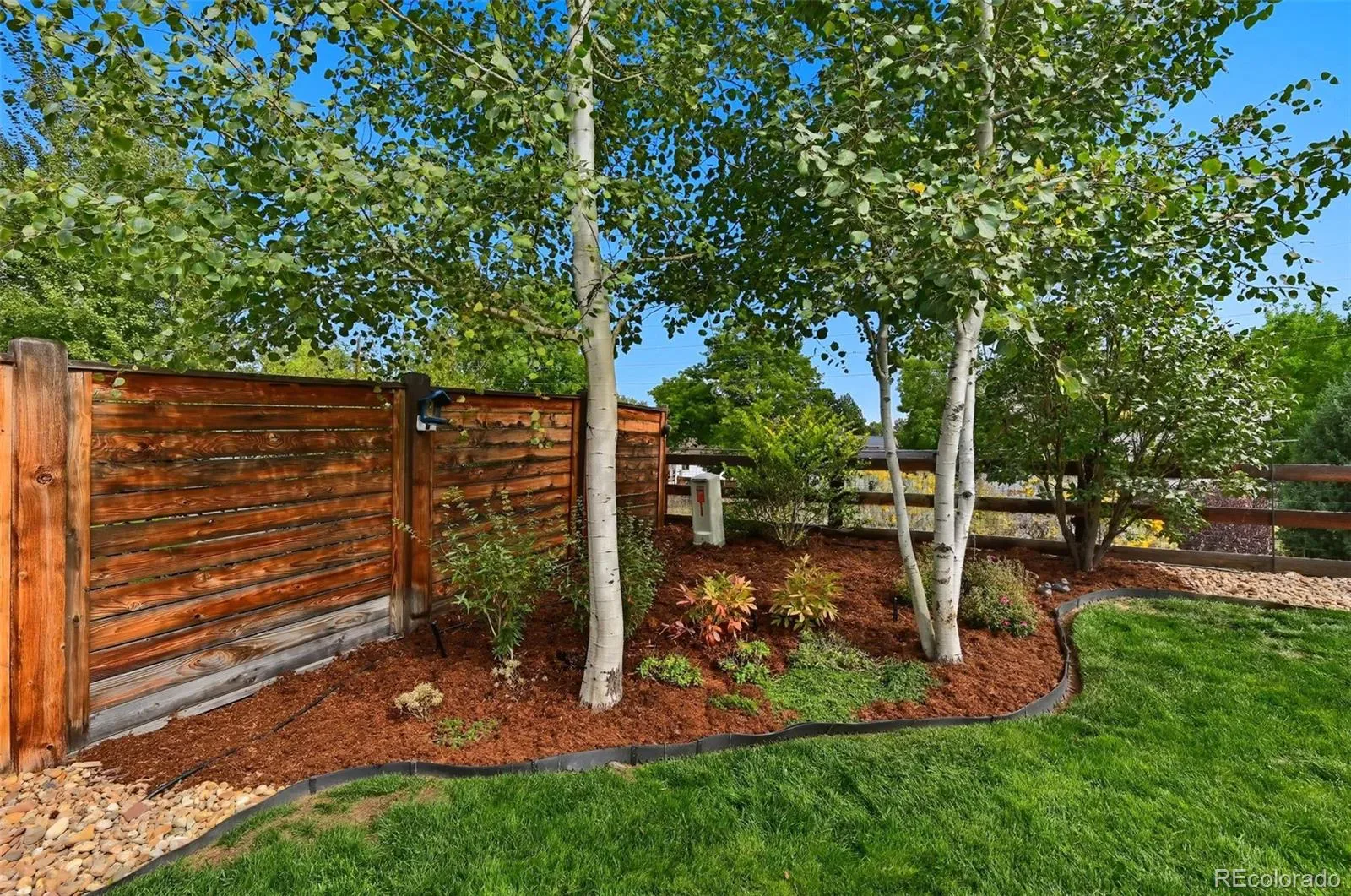 03212026233635 1600 37