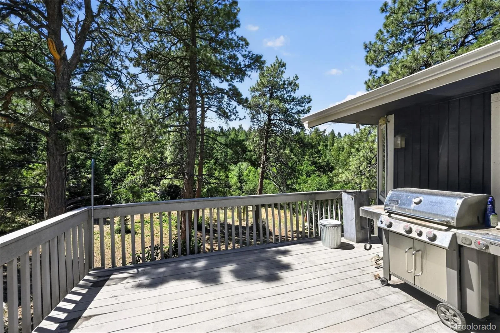 1030 E Possee Road Castle Rock CO 80108 MLS #REC8494886 07152026210932 1600 10