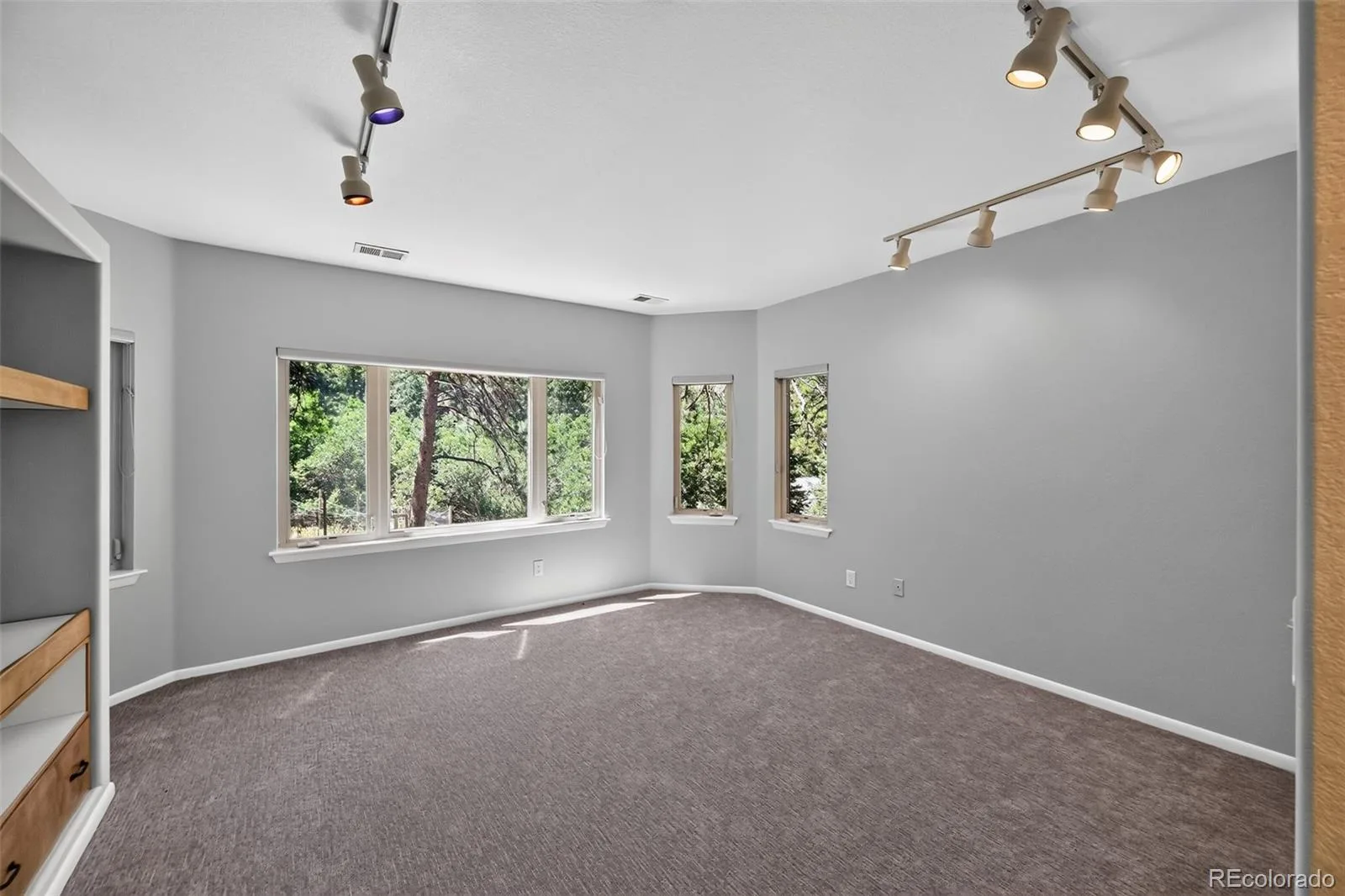 1030 E Possee Road Castle Rock CO 80108 MLS #REC8494886 07152026210932 1600 20