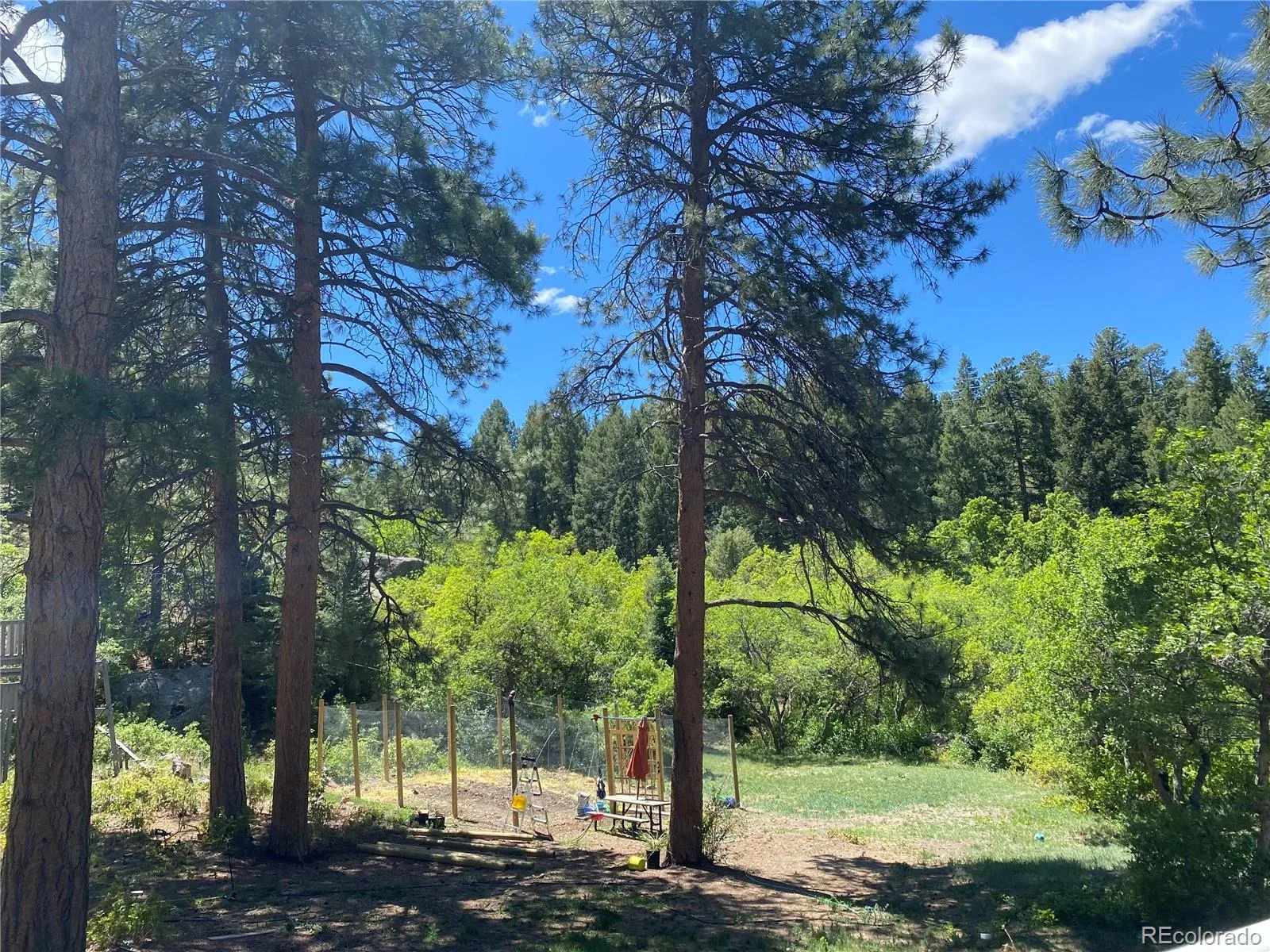 1030 E Possee Road Castle Rock CO 80108 MLS #REC8494886 07152026210932 1600 31