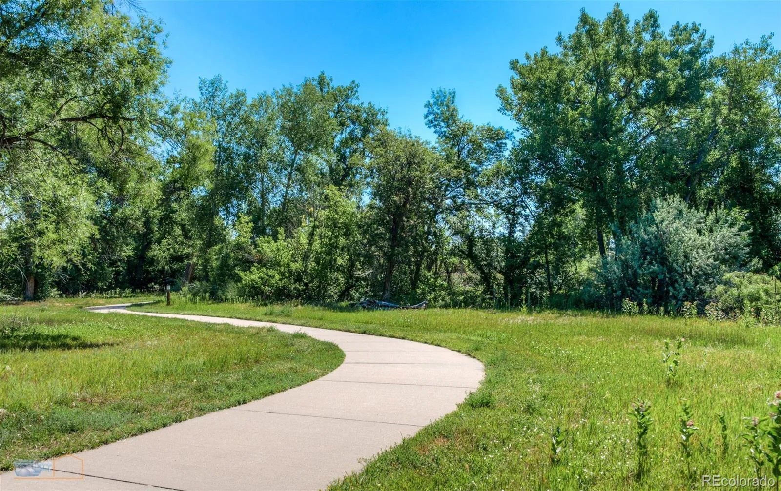 14666 W 68th Place Arvada CO 80004 MLS #REC8499597 07062026201455 1600 27