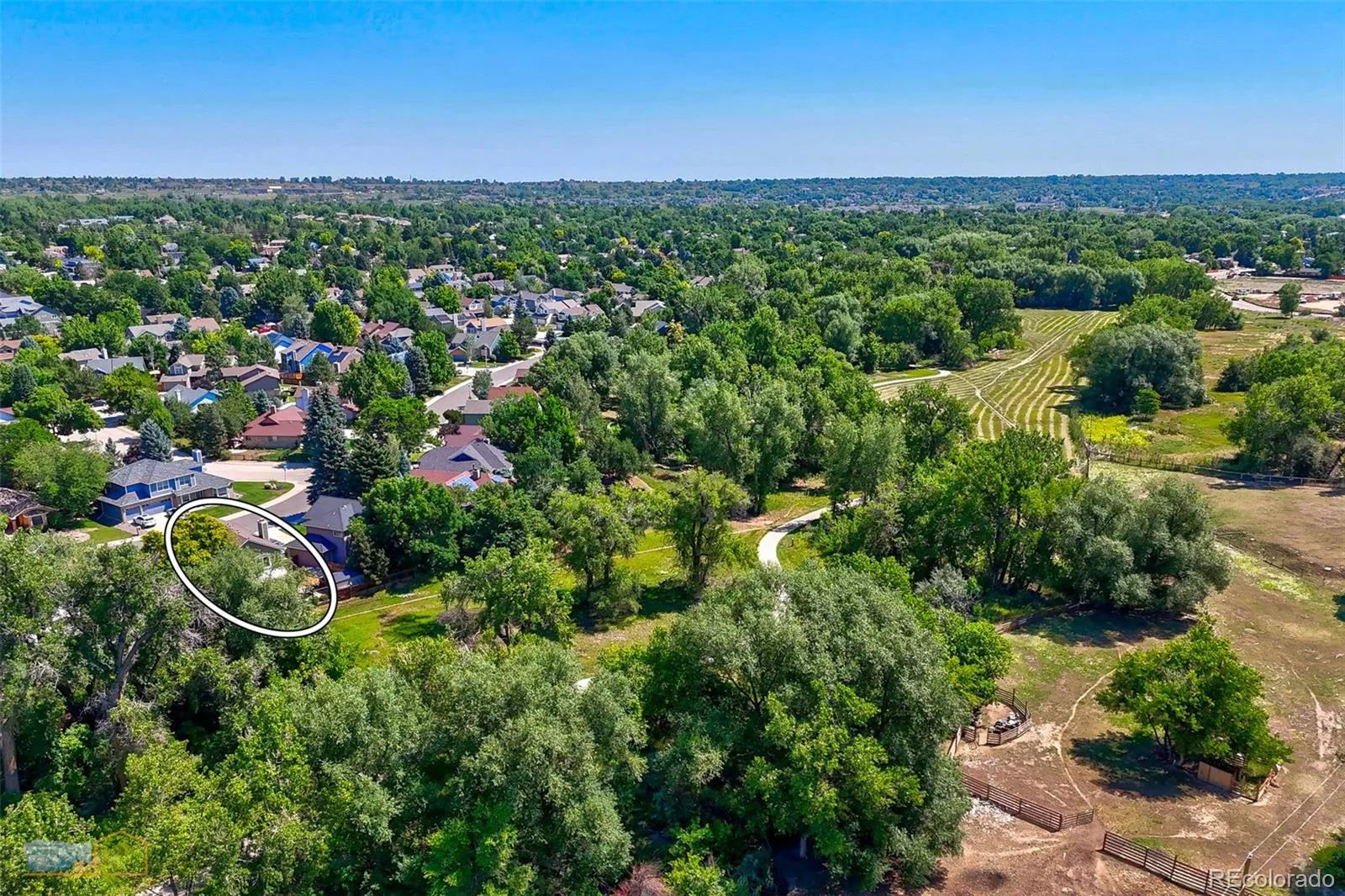 14666 W 68th Place Arvada CO 80004 MLS #REC8499597 07062026201455 1600 3