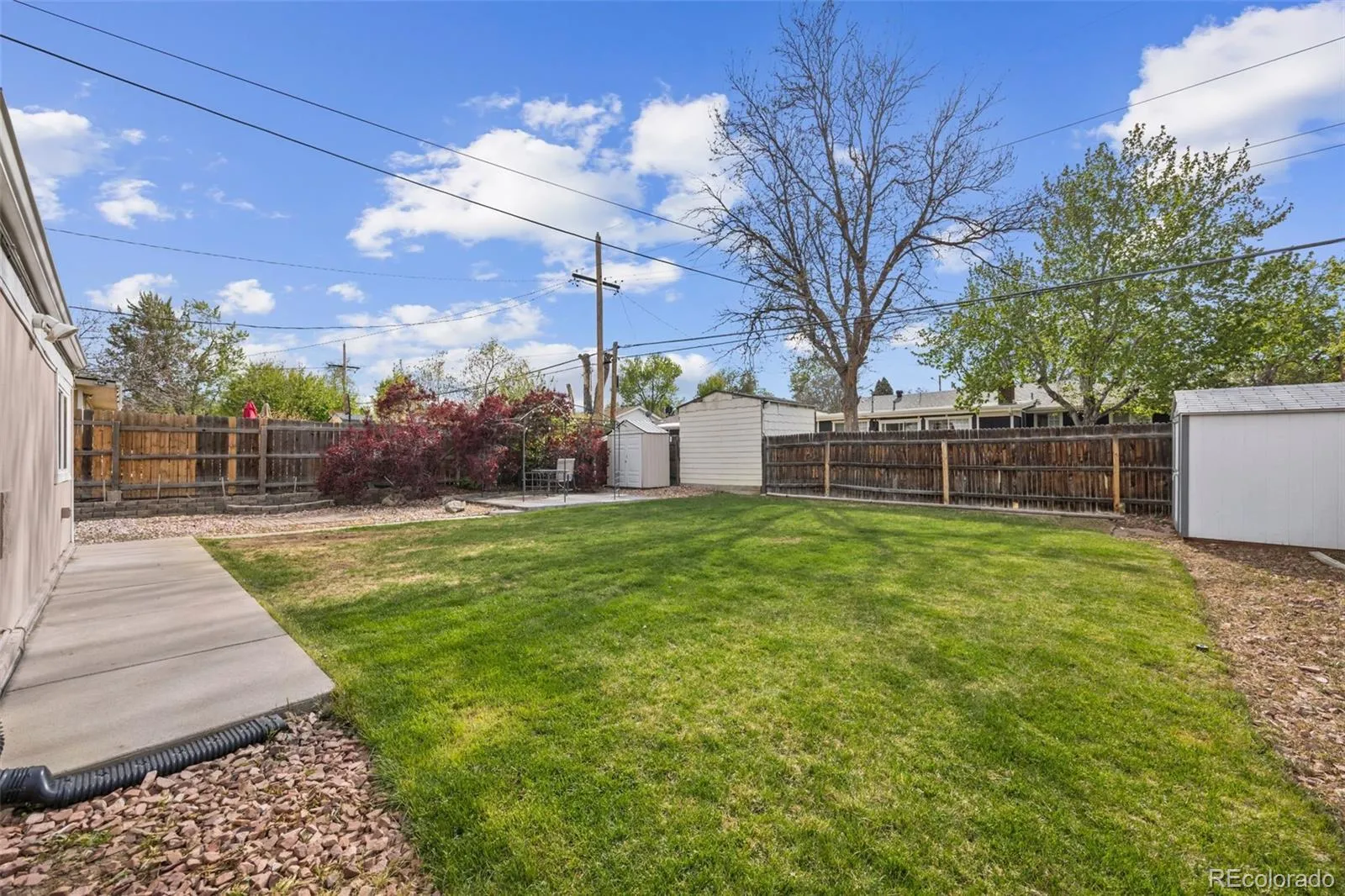 2631 S Newton Street Denver CO 80219 MLS #REC8506569 04302026183219 1600 34