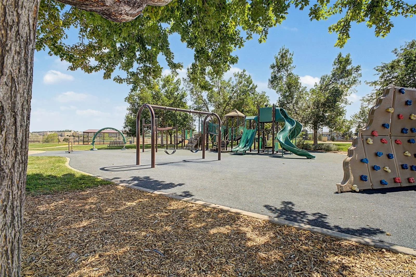 11785 Zenobia Loop Westminster CO 80031 | MLS #REC8508816 08262026162939 1600 29