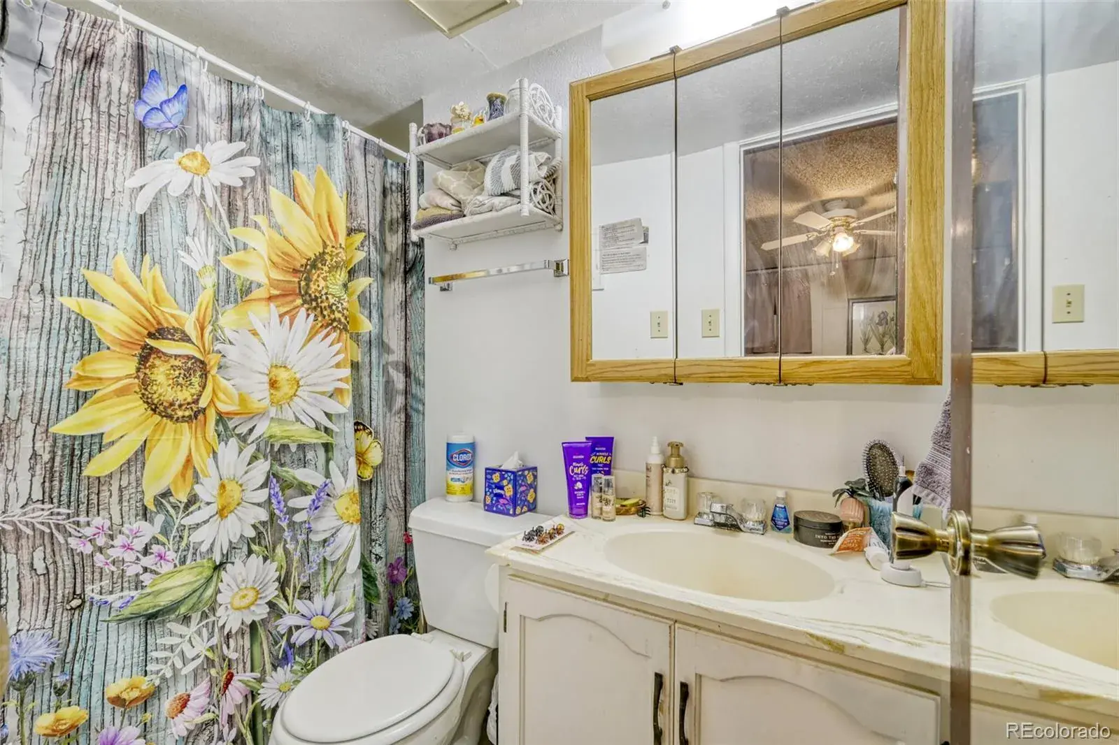 02112026040725 1600 21