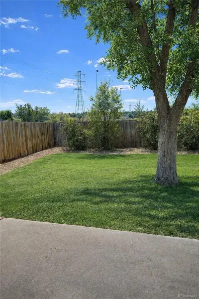 03112026231702 800 3