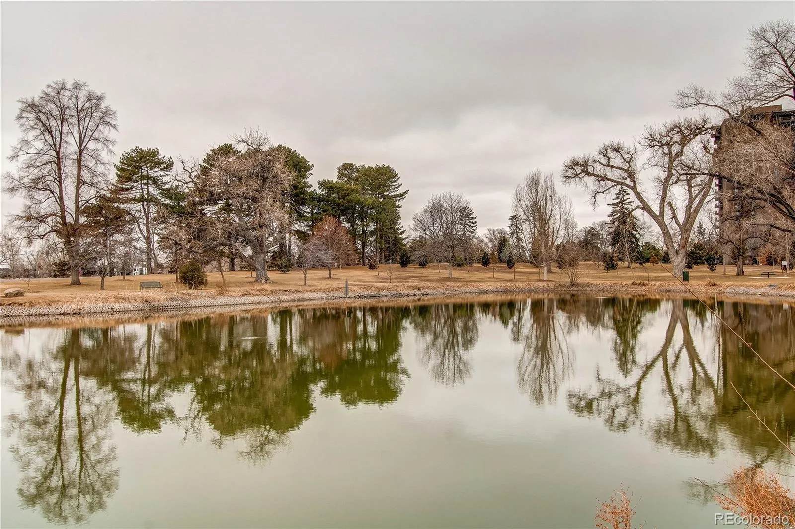 1317 S University Boulevard Denver CO 80210 | MLS #REC8517849 08182026231458 1600 29