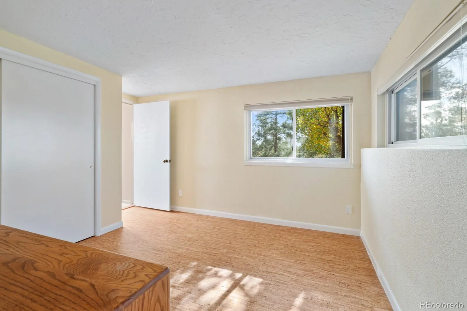 10691 Tomichi Drive Franktown CO 80116 MLS #REC8521931 07162026234912 1600 38
