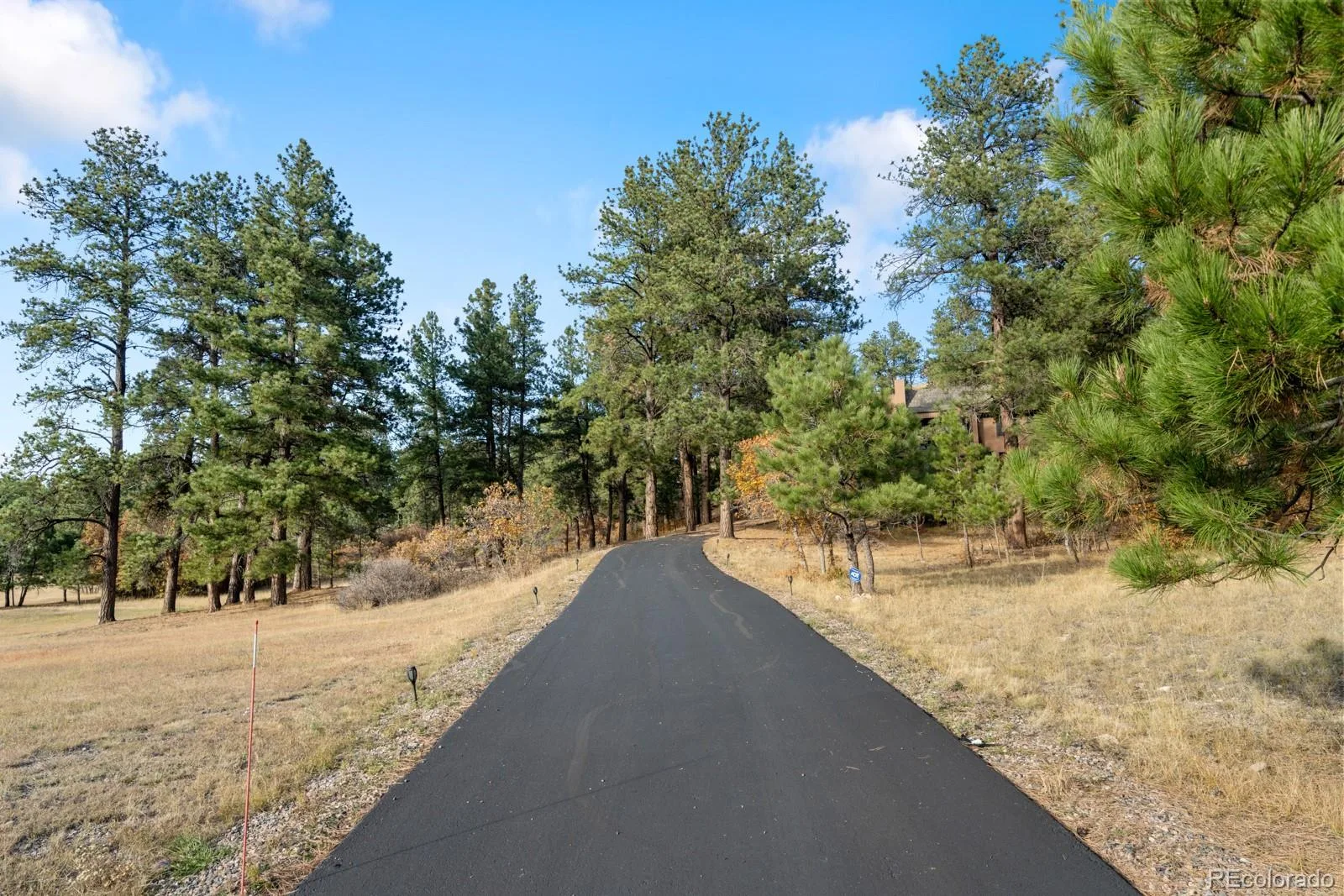 10691 Tomichi Drive Franktown CO 80116 MLS #REC8521931 07162026234912 1600 4