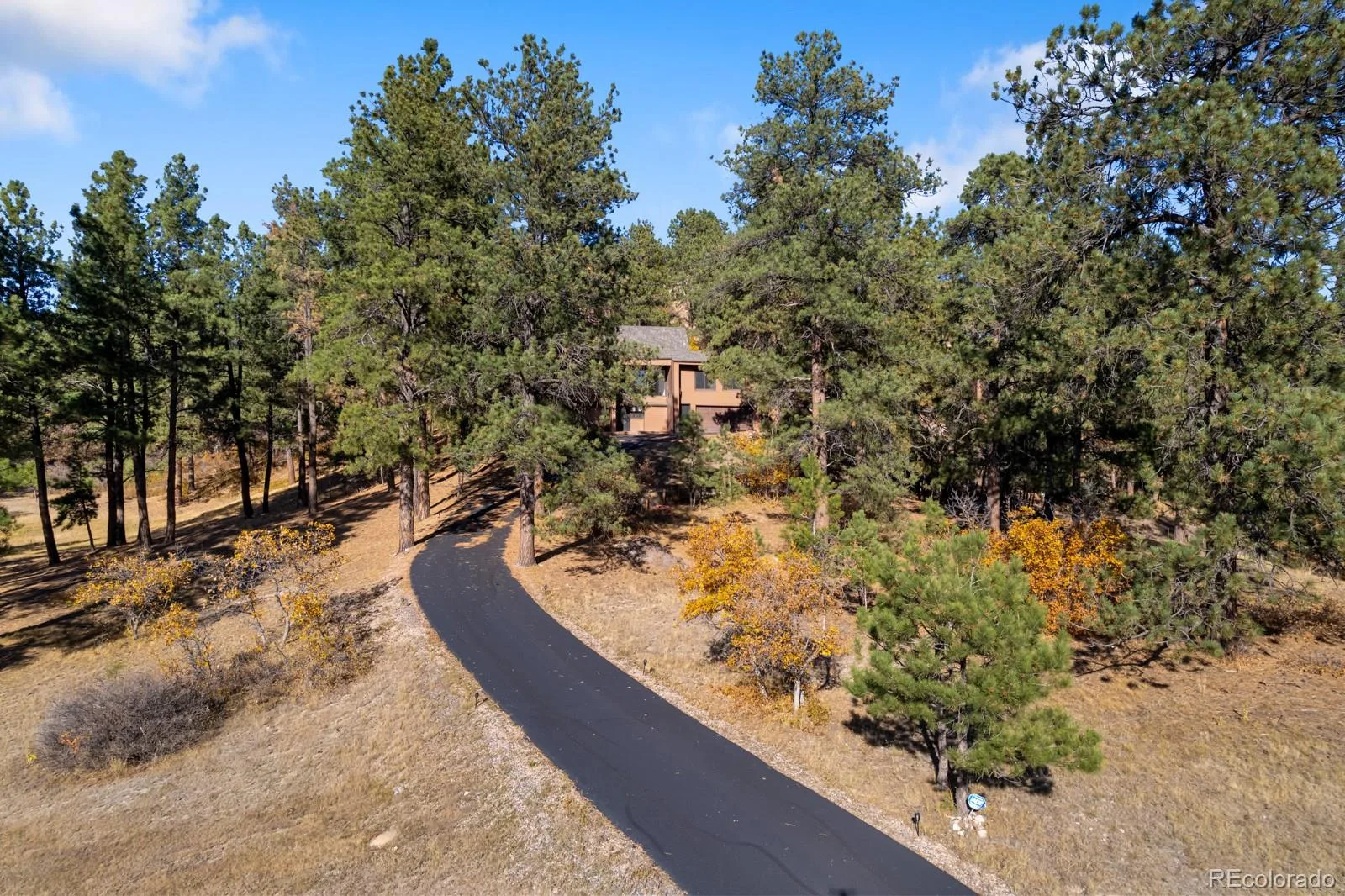 10691 Tomichi Drive Franktown CO 80116 MLS #REC8521931 07162026234912 1600 45