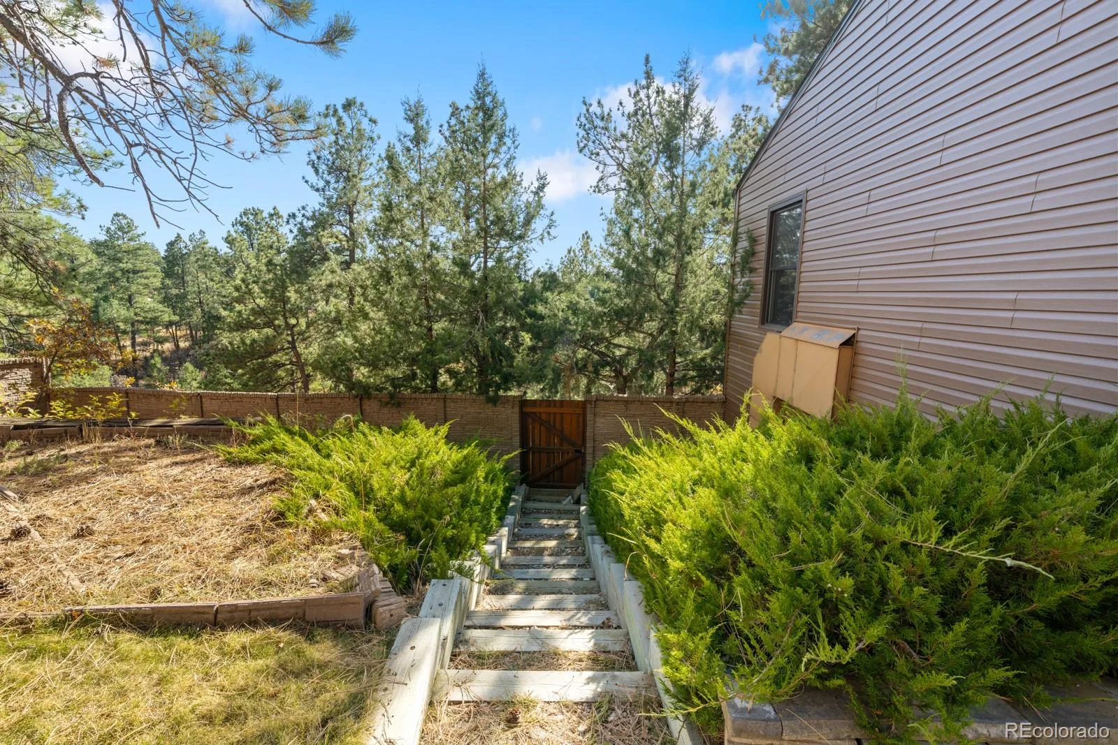 10691 Tomichi Drive Franktown CO 80116 MLS #REC8521931 07162026234912 1600 49