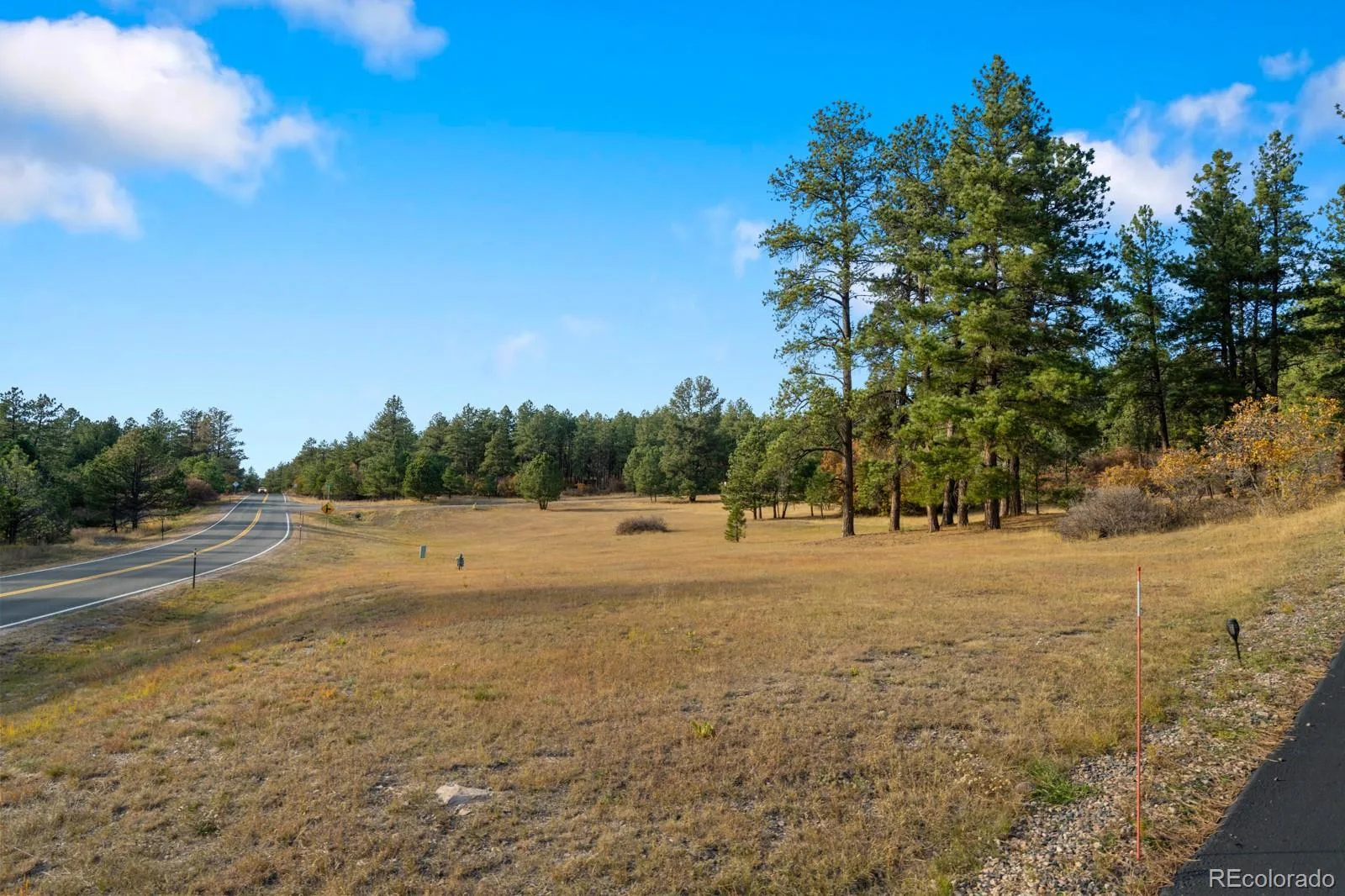10691 Tomichi Drive Franktown CO 80116 MLS #REC8521931 07162026234912 1600 5