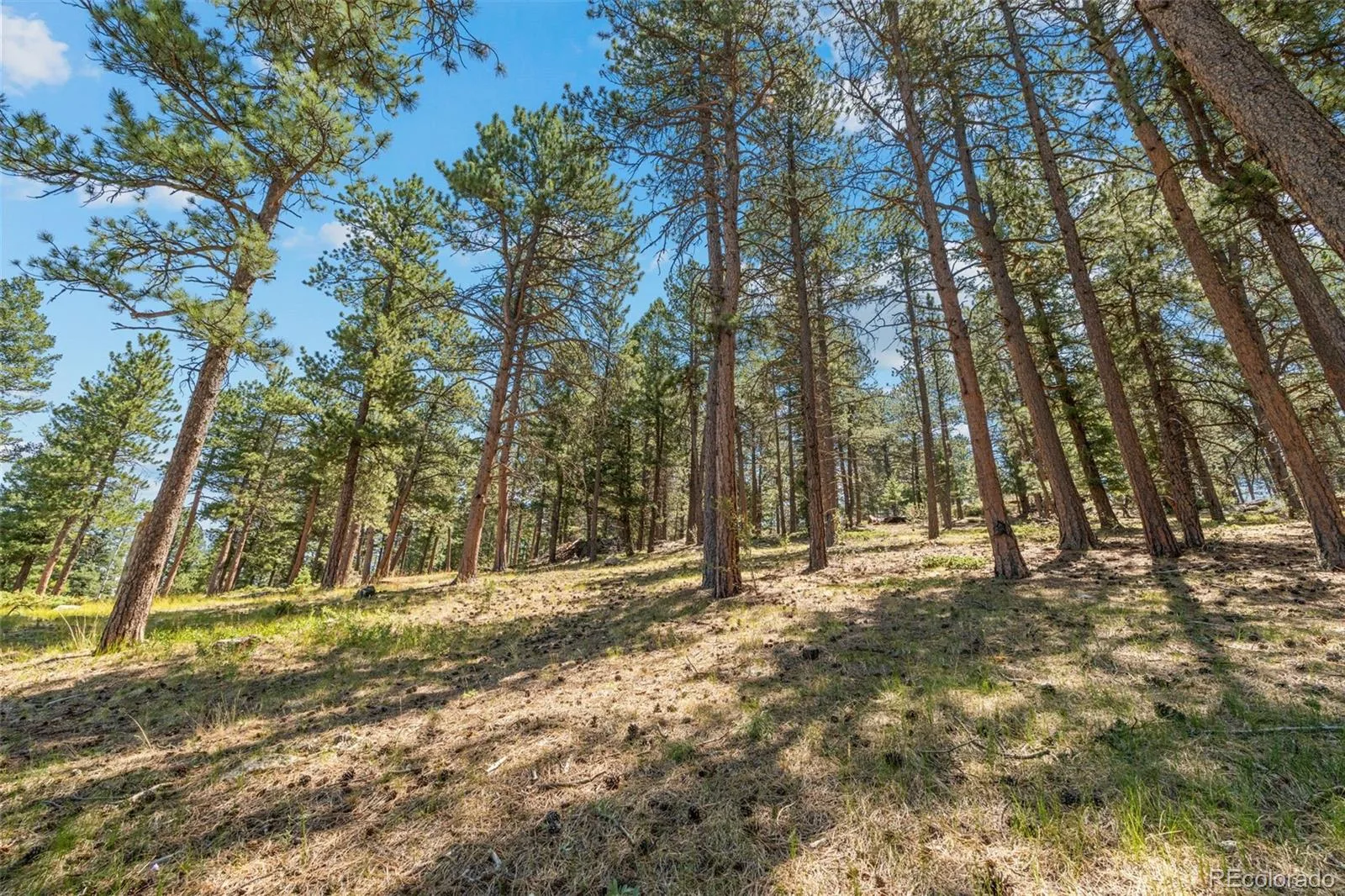7390 Monica Lane Evergreen CO 80439 | MLS #REC8529732 07222026225008 1600 39