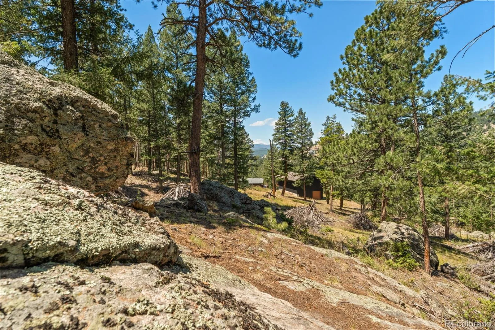7390 Monica Lane Evergreen CO 80439 | MLS #REC8529732 07222026225008 1600 40