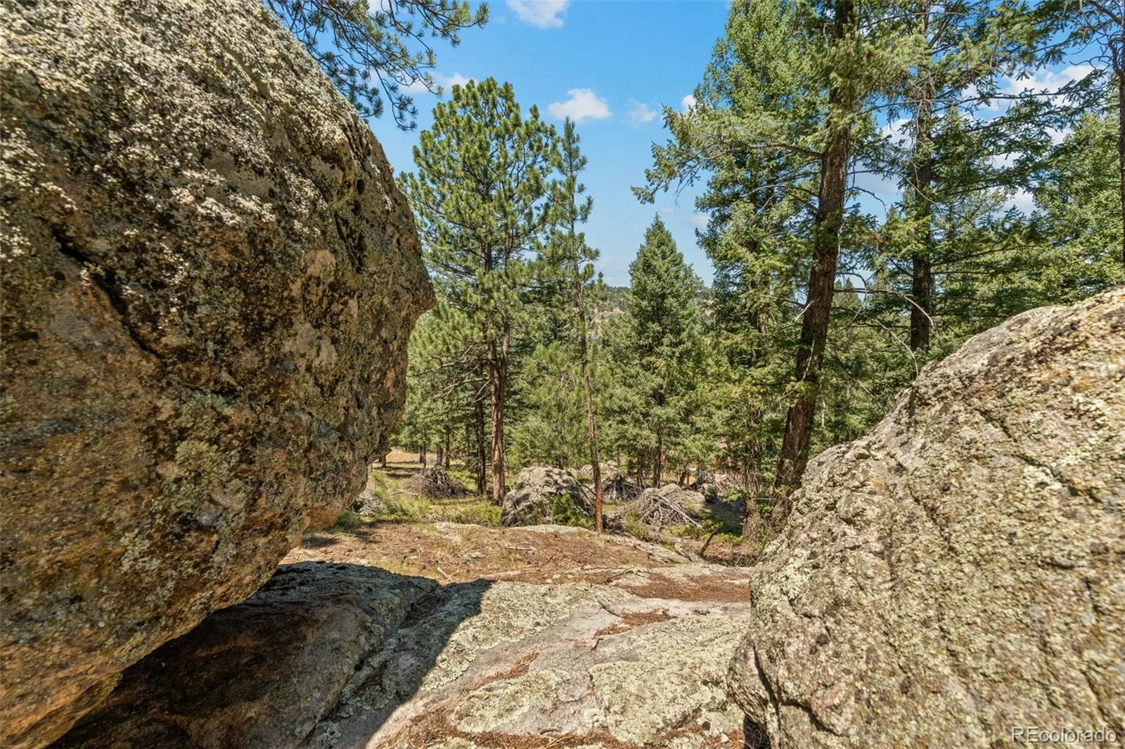 7390 Monica Lane Evergreen CO 80439 | MLS #REC8529732 07222026225008 1600 41