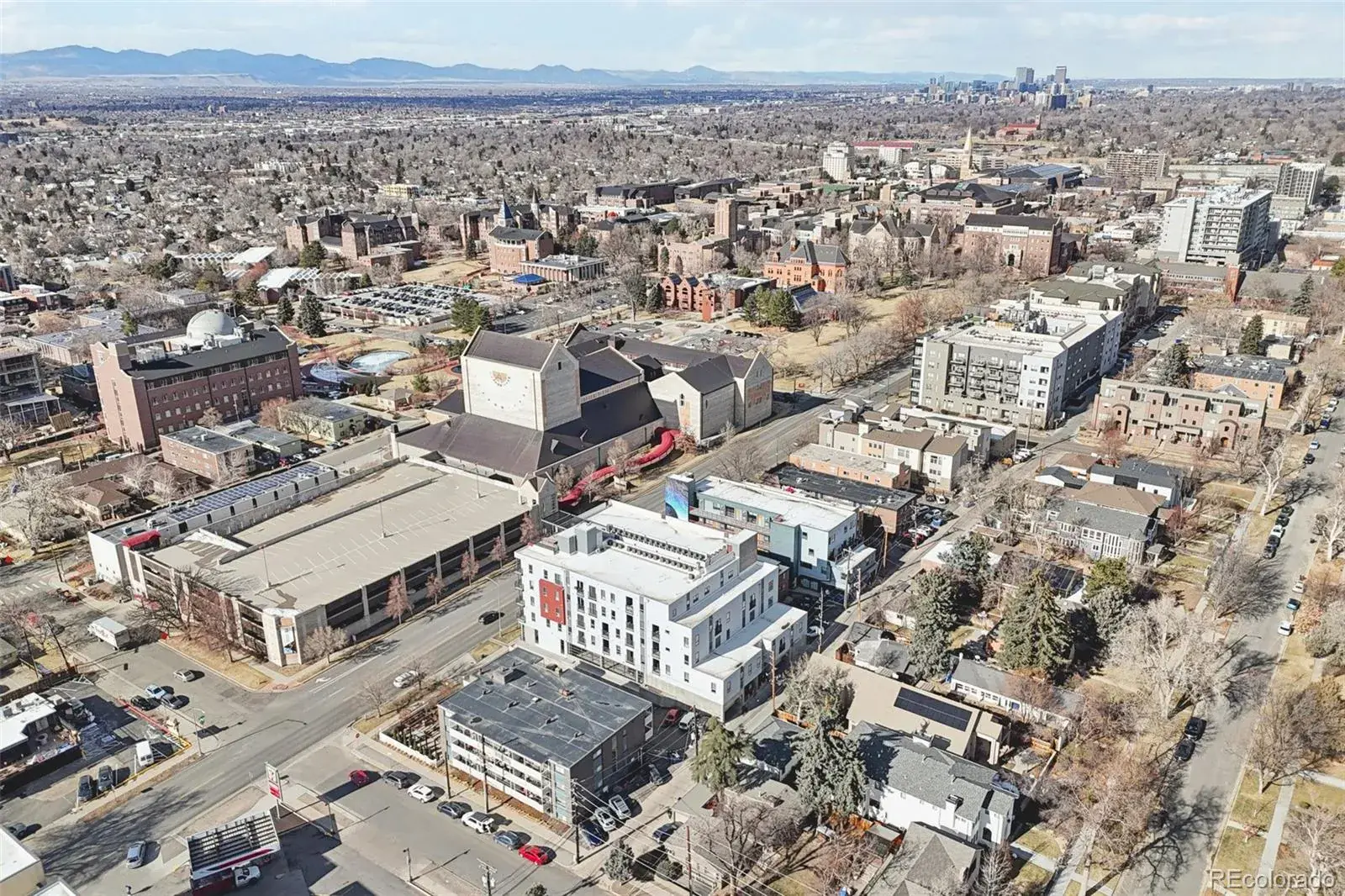 2374 S University Boulevard #204 Denver CO 80210 MLS #REC8534370 02052026015321 1600 43