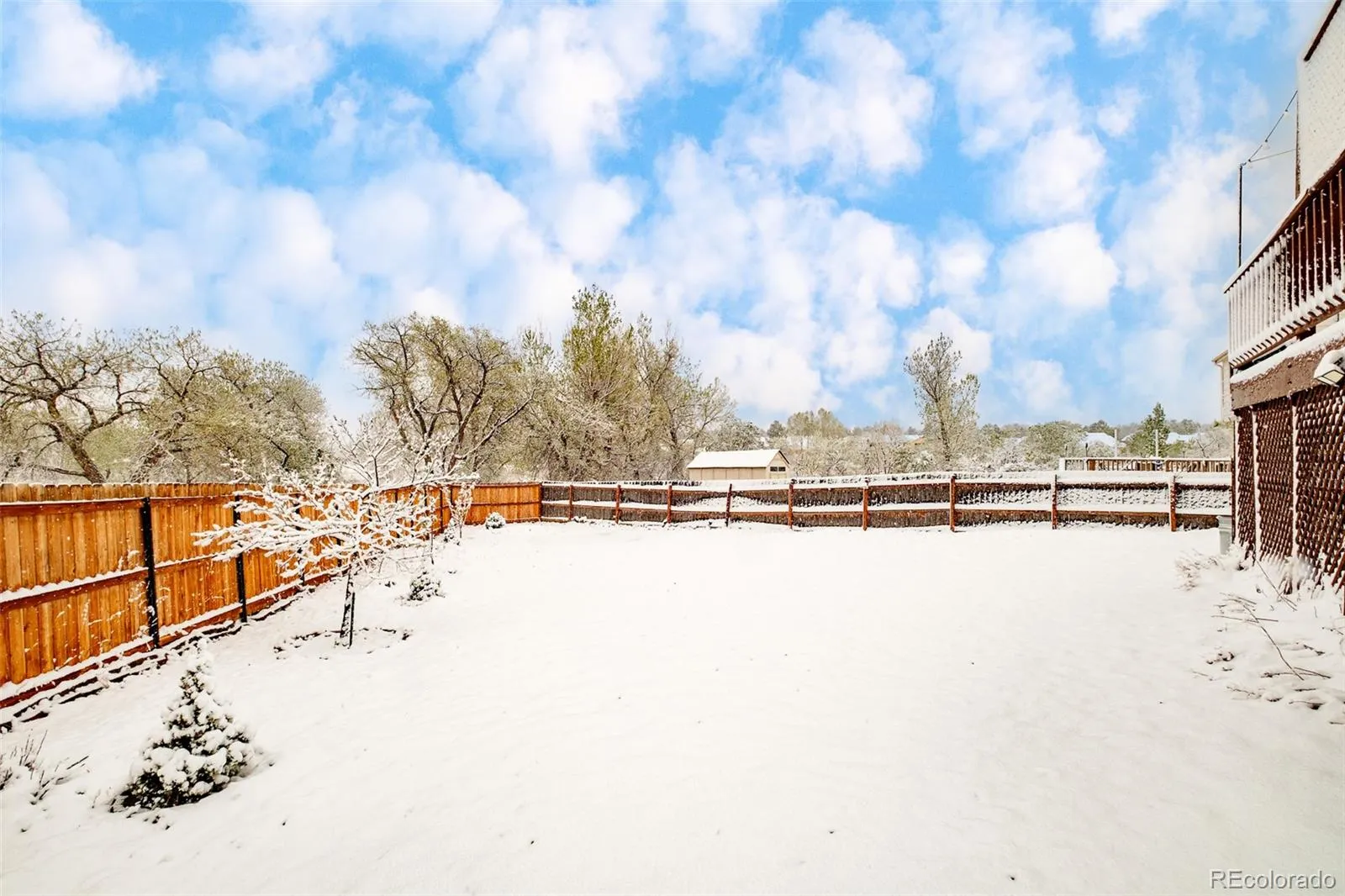 9277 W 98th Place Broomfield CO 80021 MLS #REC8536216 04282026005251 1600 32