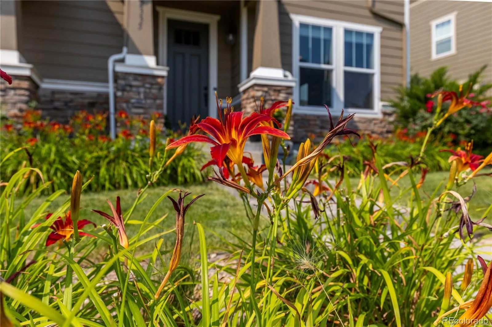 2335 W 164th Place Broomfield CO 80023 | MLS #REC8538904 07092026184427 1600 25
