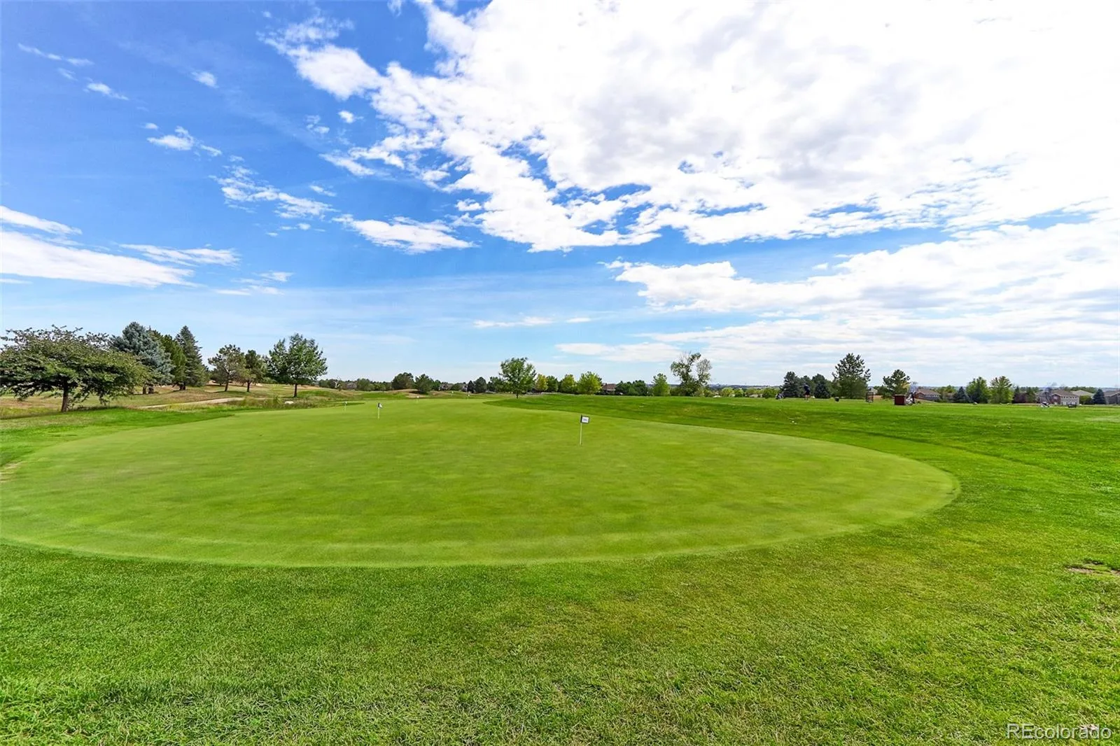 14043 Pinehurst Circle Broomfield CO 80023 | MLS #REC8553069 08212026214638 1600 48