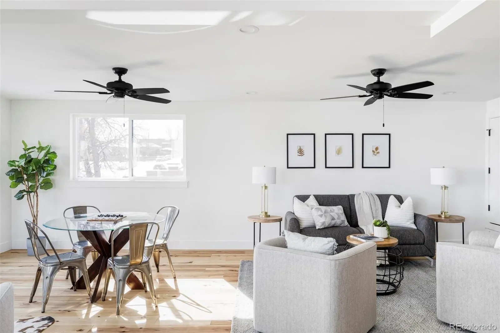 03302026143812 1600 29