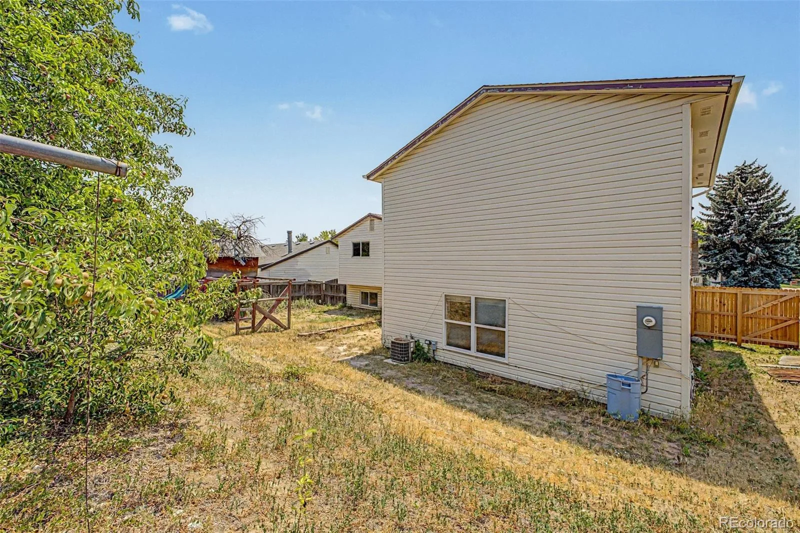 2533 W 99th Place Denver CO 80260 | MLS #REC8560235 06272026173128 1600 33