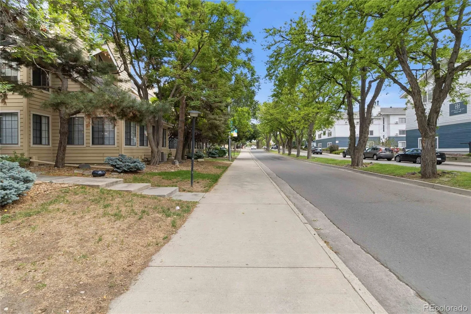 910 S Dahlia Street #A Denver CO 80246 MLS #REC8569624 06082026210128 1600 22