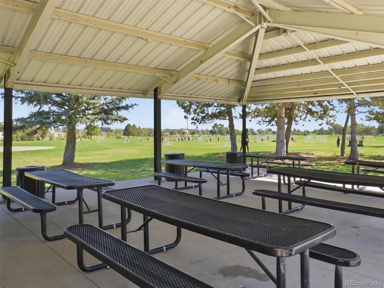 789 Fairhaven Street Castle Rock CO 80104 | MLS #REC8579090 07012026155749 1600 47