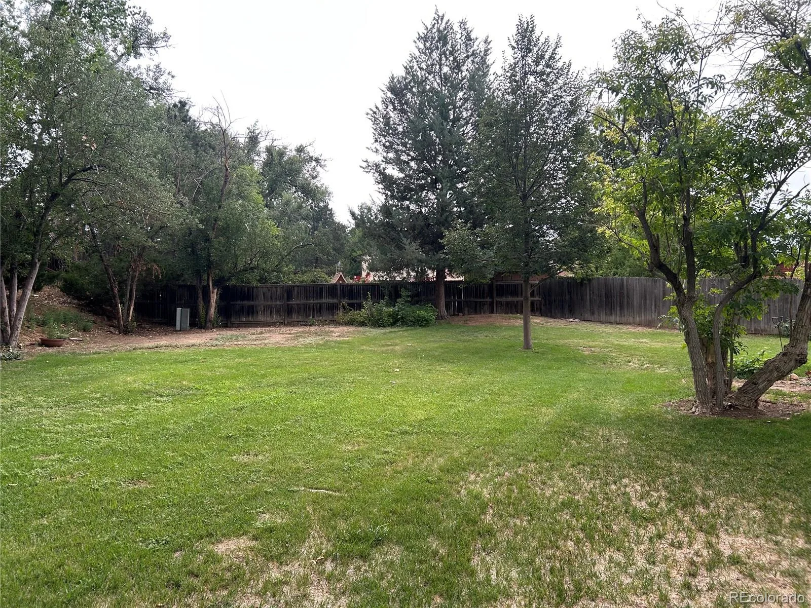 12924 St Paul Court Thornton CO 80241 | MLS #REC8580734 07282026225624 1600 30