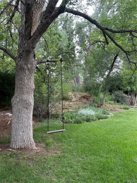 12924 St Paul Court Thornton CO 80241 | MLS #REC8580734 07282026225624 800 32