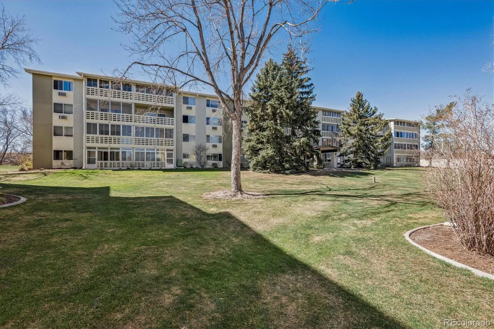 705 S Alton Way #6B Denver CO 80247 MLS #REC8582583 05132026210900 1600 20