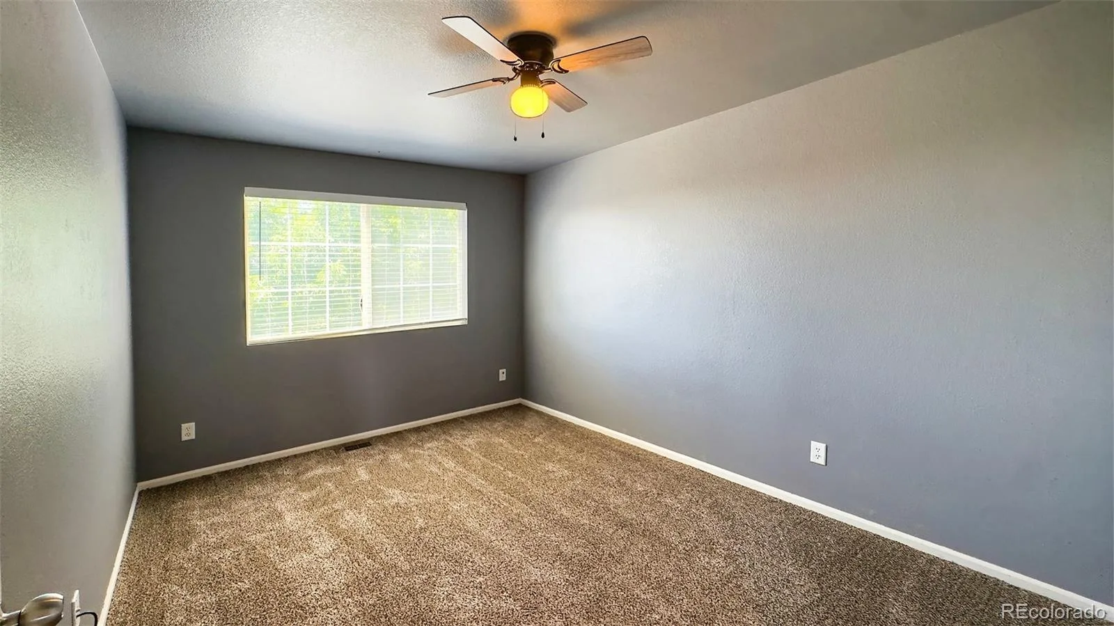 11303 Newport Street Thornton CO 80233 | MLS #REC8587357 08192026163349 1600 24