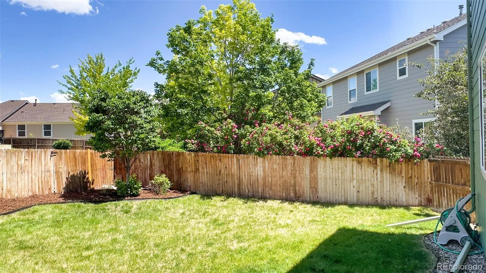 11303 Newport Street Thornton CO 80233 | MLS #REC8587357 08192026163349 1600 3
