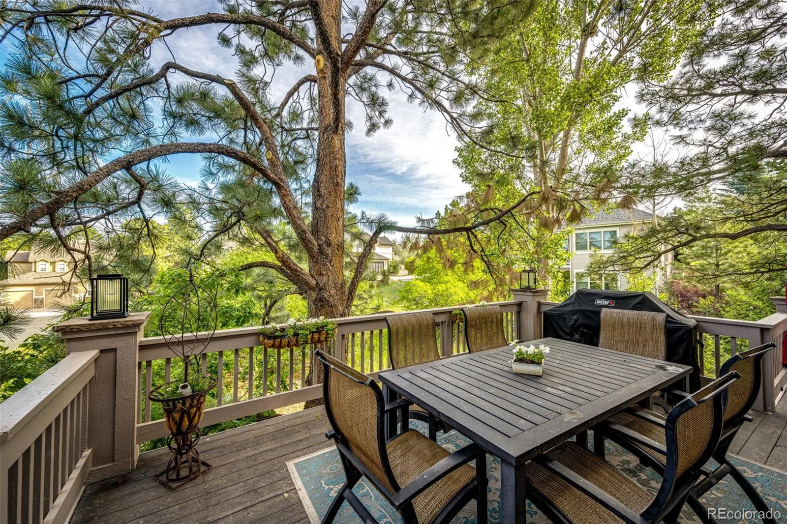907 Greenridge Lane Castle Pines CO 80108 MLS #REC8588886 06052026032317 1600 15