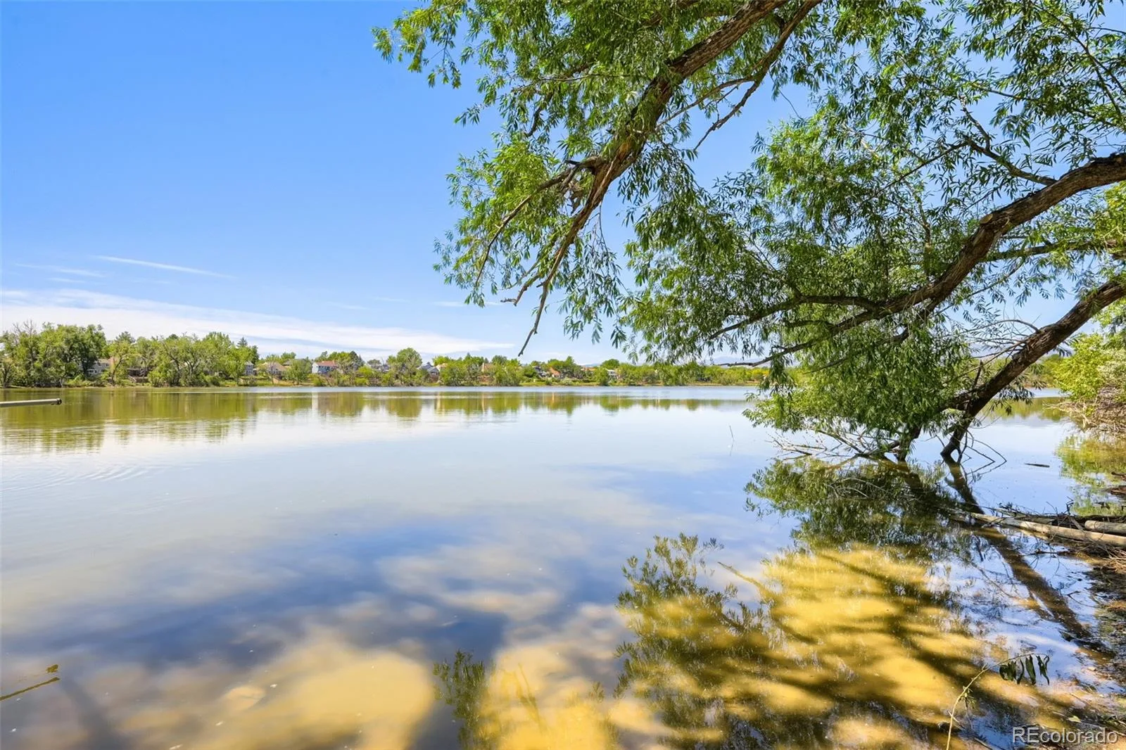 8625 Garland Court Arvada CO 80005 MLS #REC8592739 06182026052032 1600 2