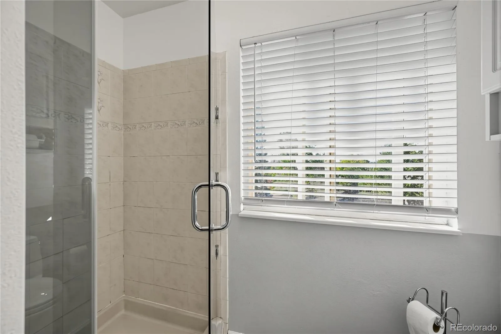 17368 E Asbury Circle Aurora CO 80013 | MLS #REC8594354 10082026172421 1600 18