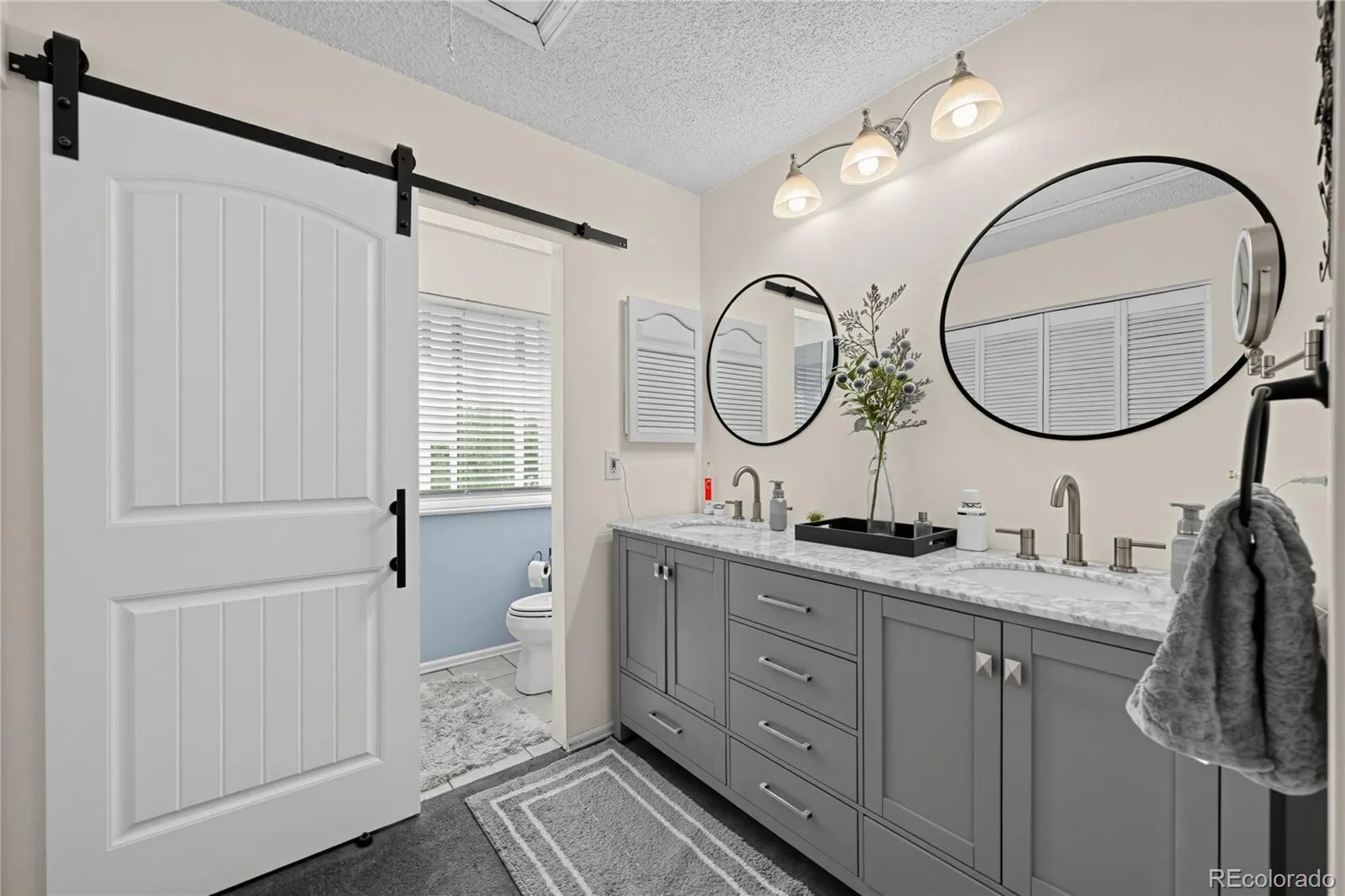 17368 E Asbury Circle Aurora CO 80013 | MLS #REC8594354 10082026172421 1600 19