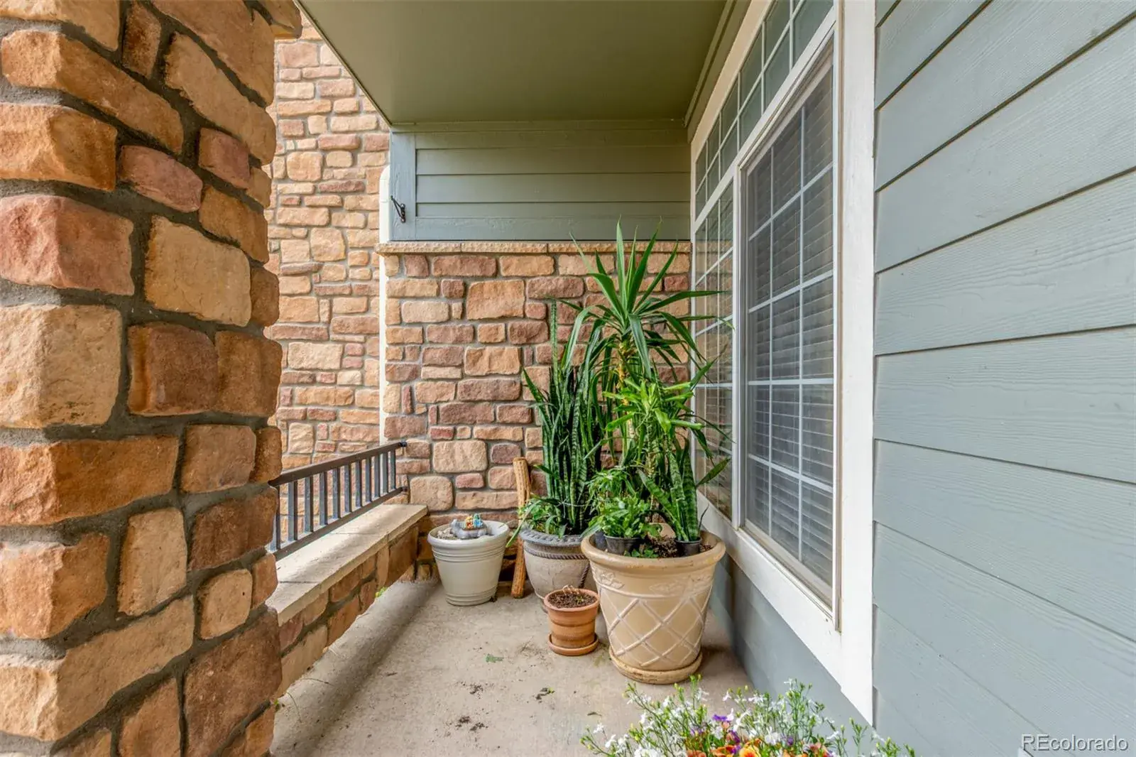 457 Black Feather Loop #702 Castle Rock CO 80104 | MLS #REC8603602 03052026215337 1600 3