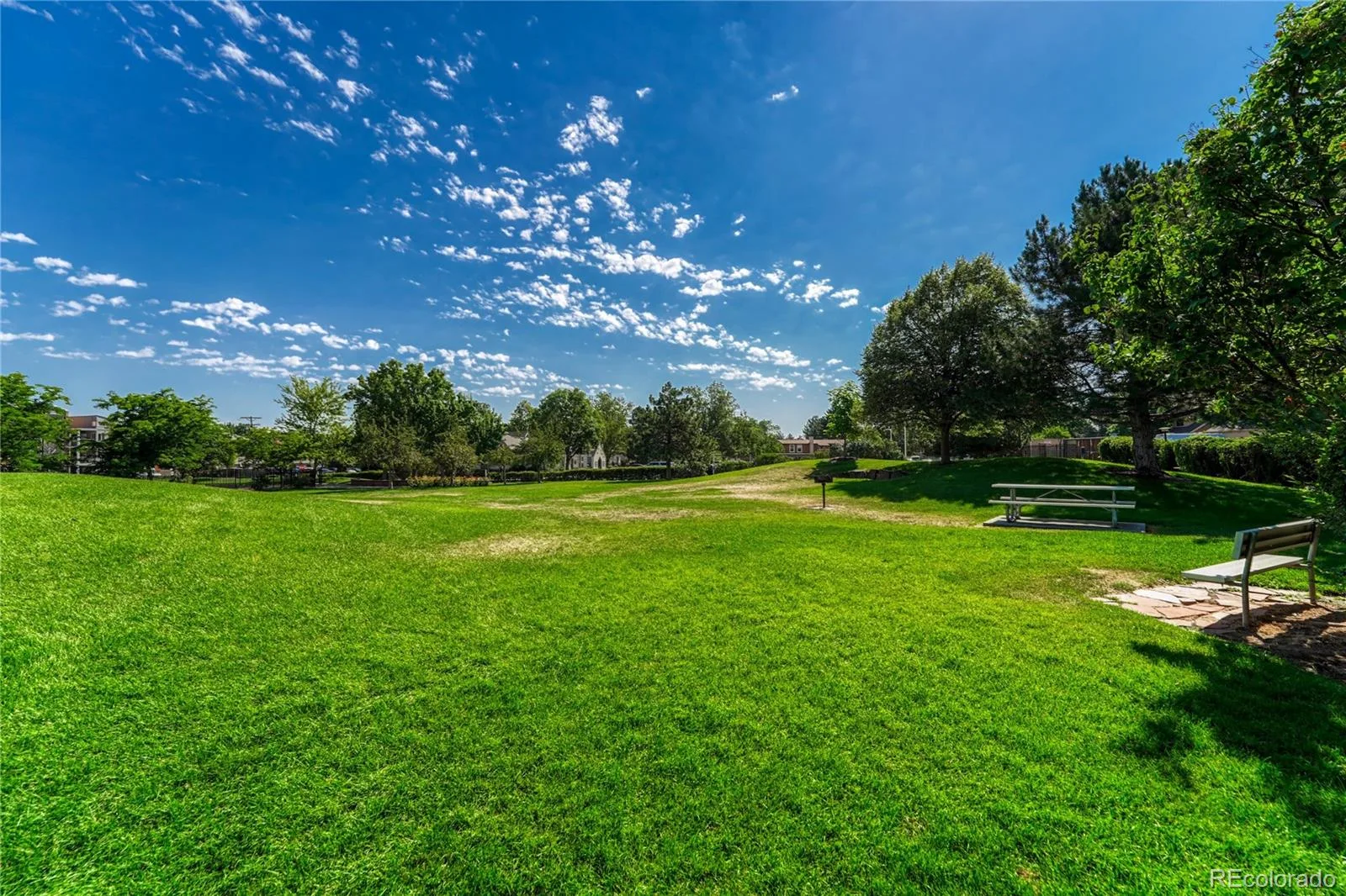 4872 E Kentucky Avenue #D Denver CO 80246 MLS #REC8605767 07252026002341 1600 32